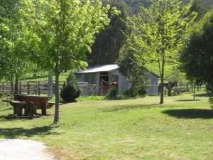 horse-stable-6   